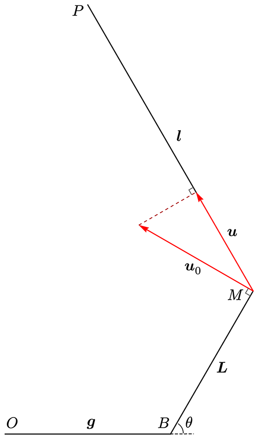 单一支部的侧视图